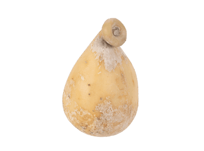 caciocavallo dei basilischi