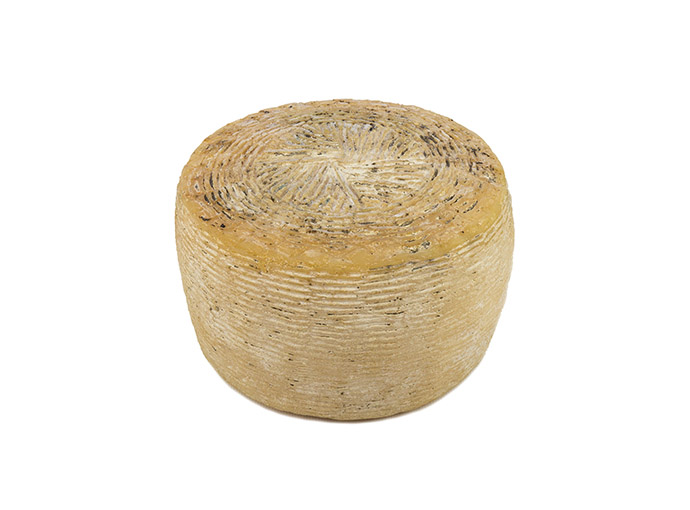 Pecorino di Farindola - immagine 2