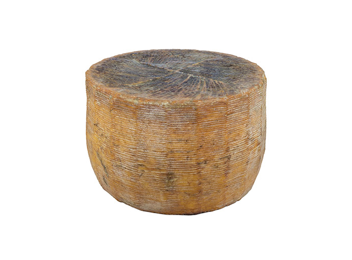 Pecorino Siciliano DOP - immagine 2
