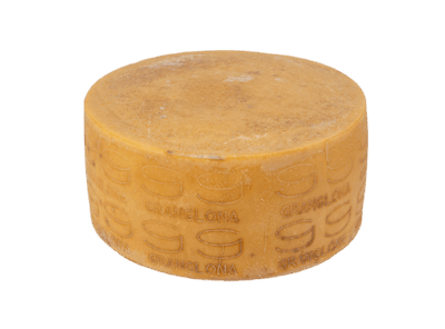 Grande formaggio di pecora Sardegna
