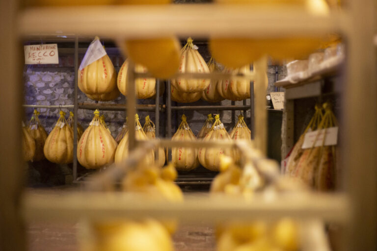 allevatore-di-formaggi-forme-appese