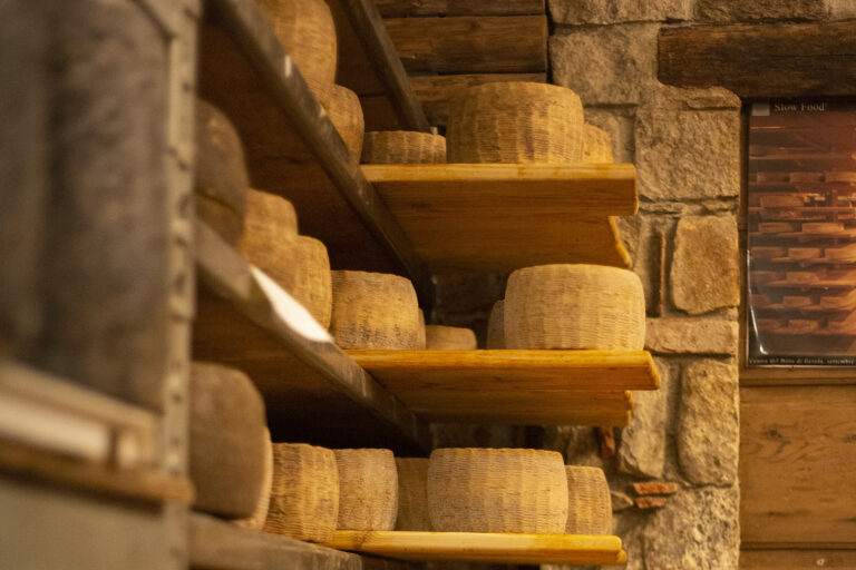 allevatore-di-formaggi-forme-cantina